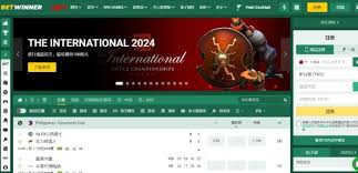 Discover the Excitement of Betwinner Casino 20