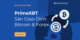 Explore the Efficiency and Security of PrimeXBT Wallet Explore the Efficiency and Security of PrimeXBT Wallet