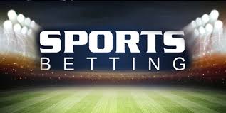 How to Bet on Cricket Like a Professional 12 How to Bet on Cricket Like a Professional 12